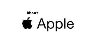 Tim Cook co-founder of Apple company